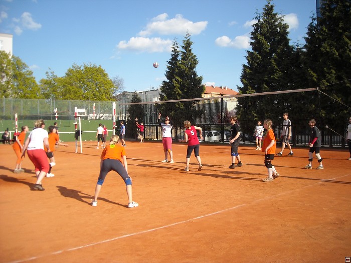 img00106.jpg