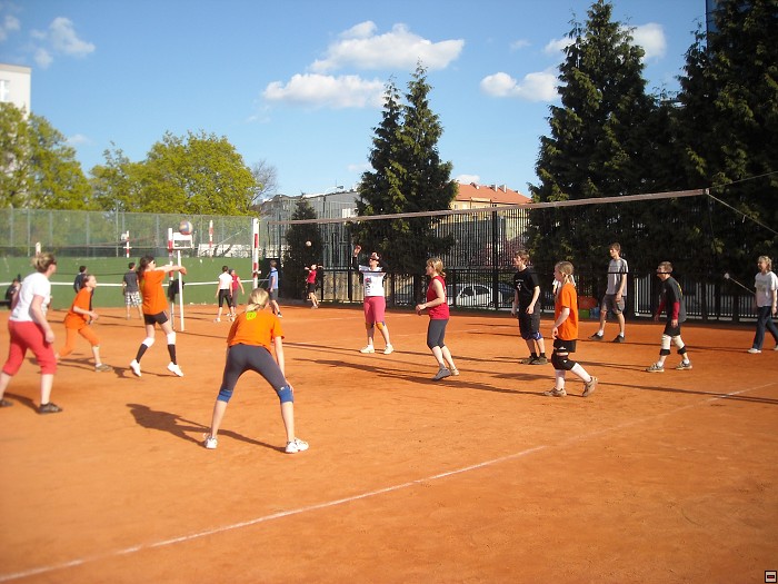 img00107.jpg