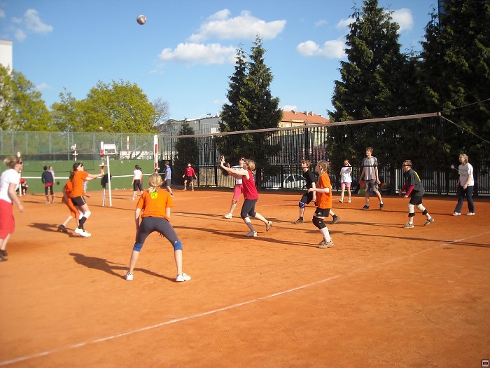 img00108.jpg