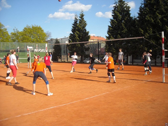 img00111.jpg