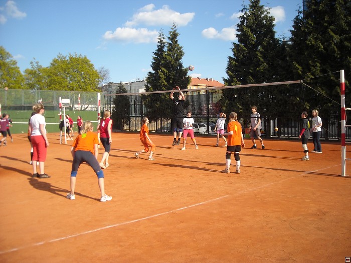 img00113.jpg