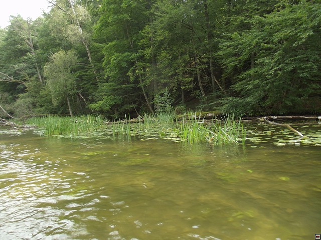 img00027.jpg