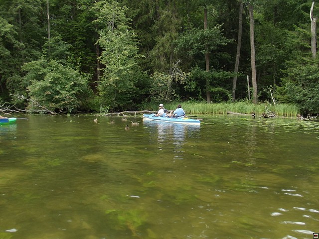 img00029.jpg