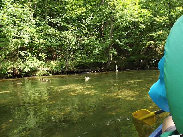 img00032.jpg
