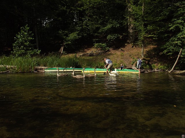img00033.jpg