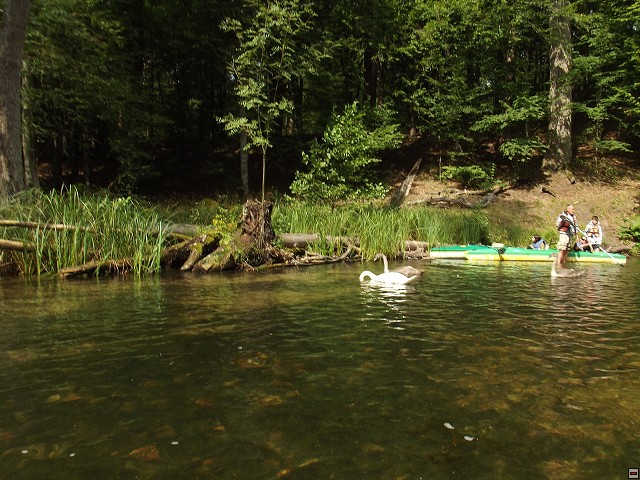 img00034.jpg