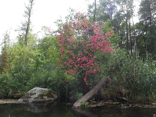 img00042.jpg