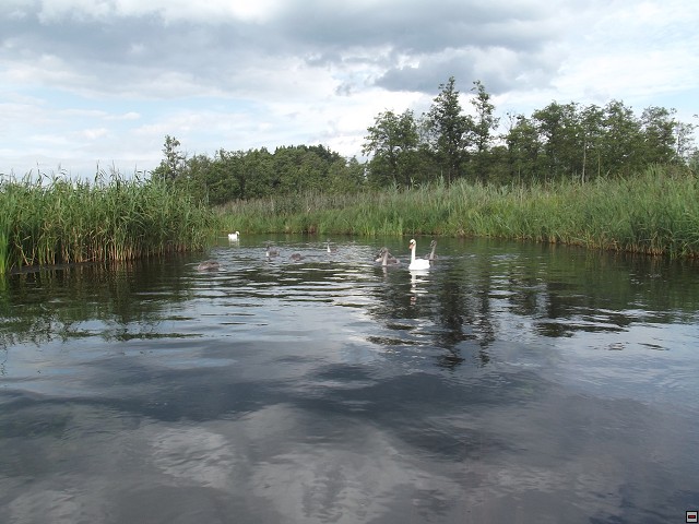 img00047.jpg