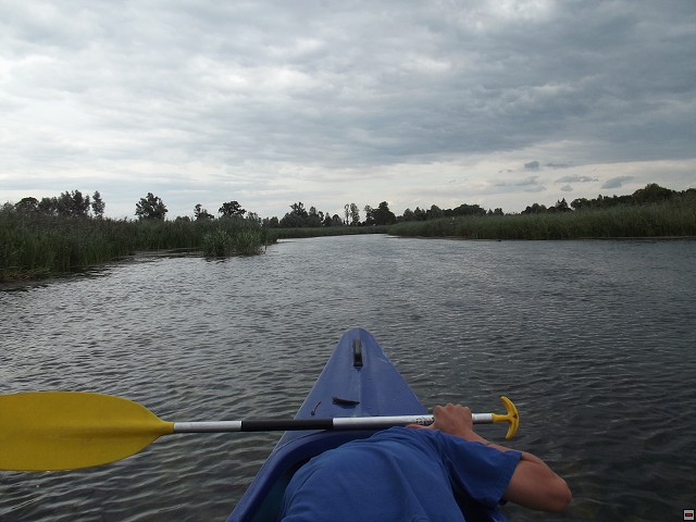 img00056.jpg