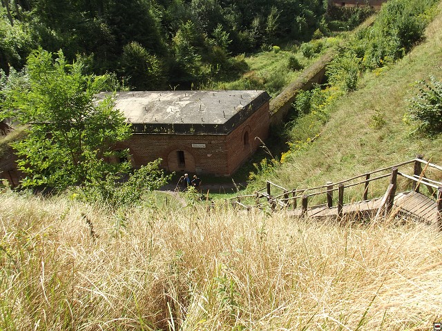 img00064.jpg