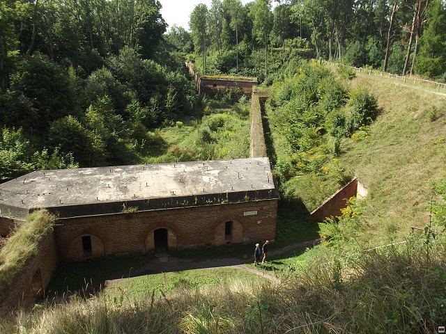 img00066.jpg