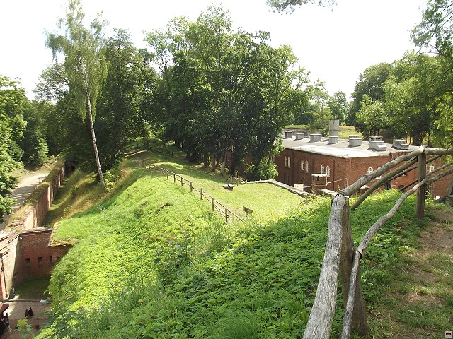 img00070.jpg