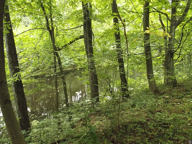 img00078.jpg