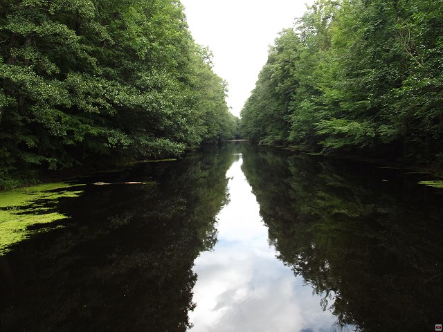 img00079.jpg