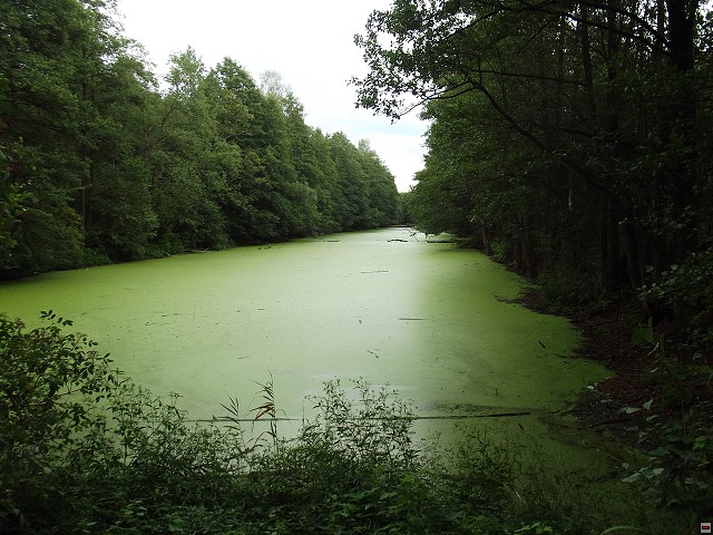 img00083.jpg