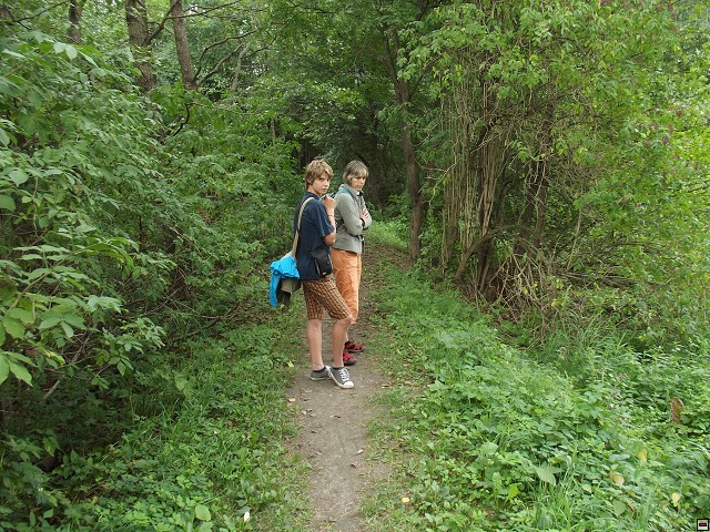 img00084.jpg