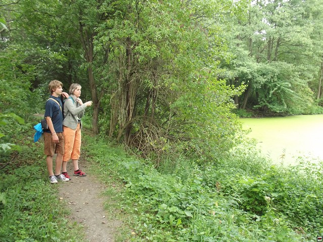 img00085.jpg