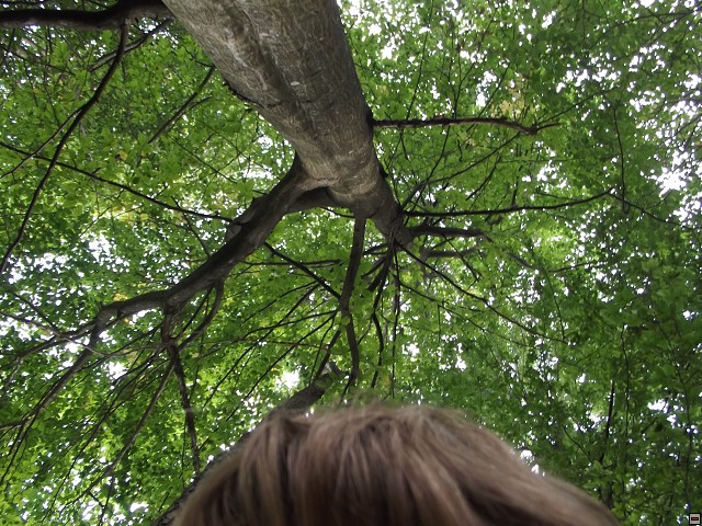 img00092.jpg