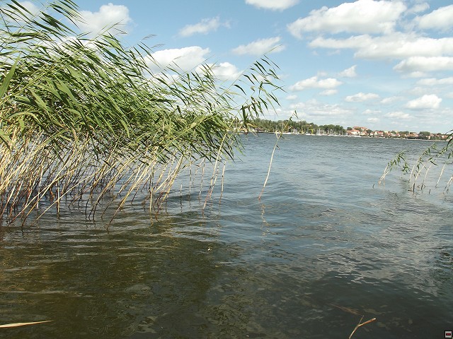 img00105.jpg