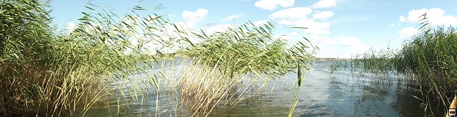 img00106.jpg