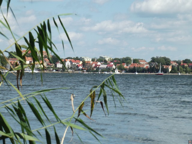 img00107.jpg