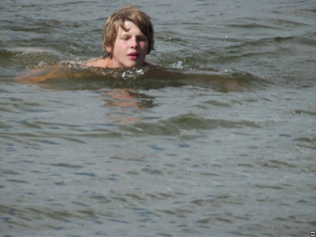 img00118.jpg