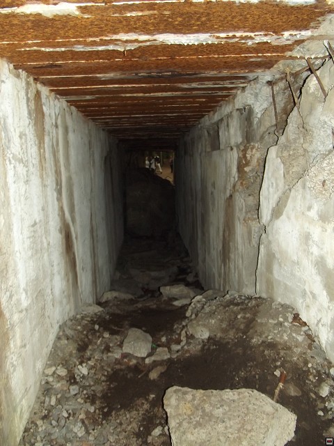 img00134.jpg