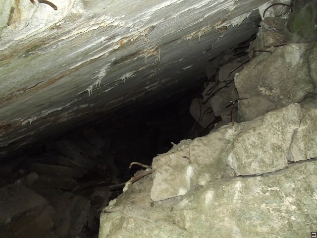 img00135.jpg