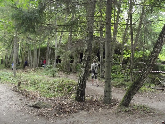 img00138.jpg