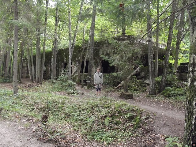 img00139.jpg