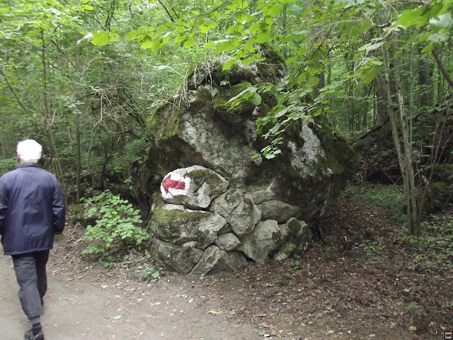 img00144.jpg