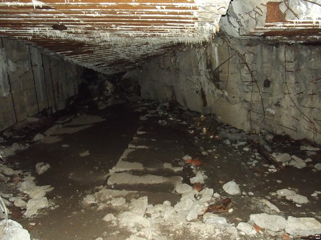 img00145.jpg