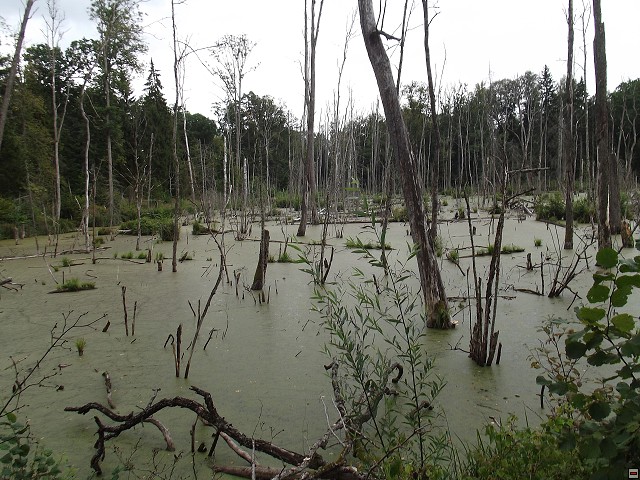 img00148.jpg