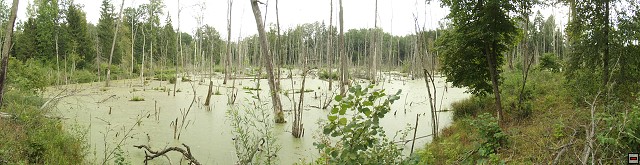 img00149.jpg