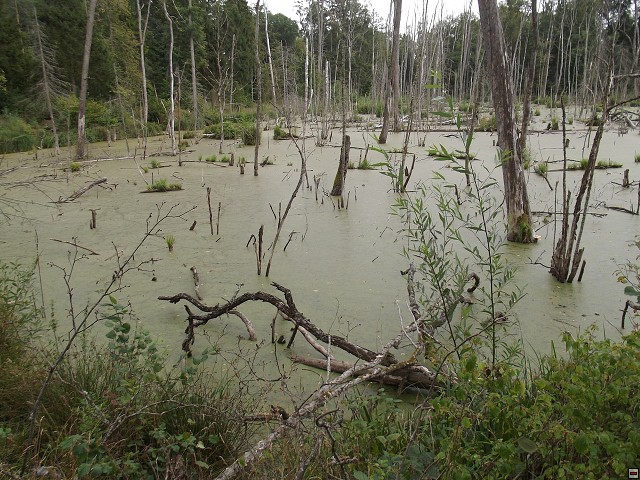 img00150.jpg