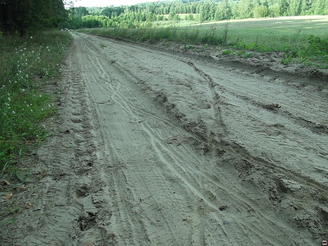 img00154.jpg