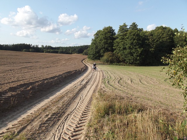 img00155.jpg