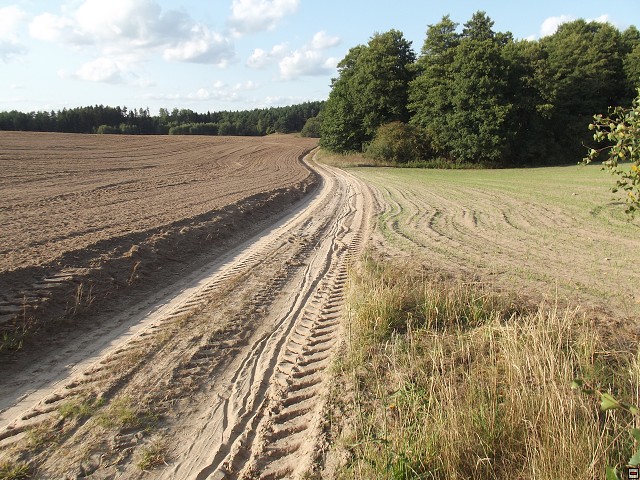 img00156.jpg