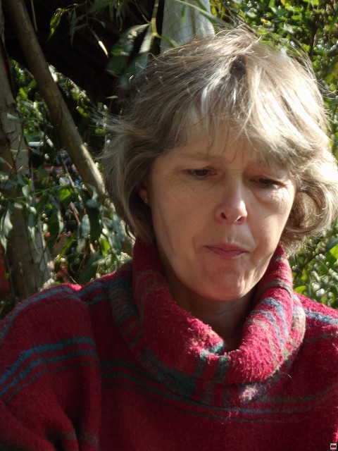 img00160.jpg
