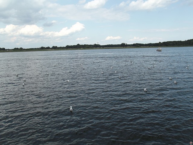 img00165.jpg