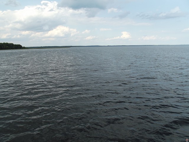 img00167.jpg