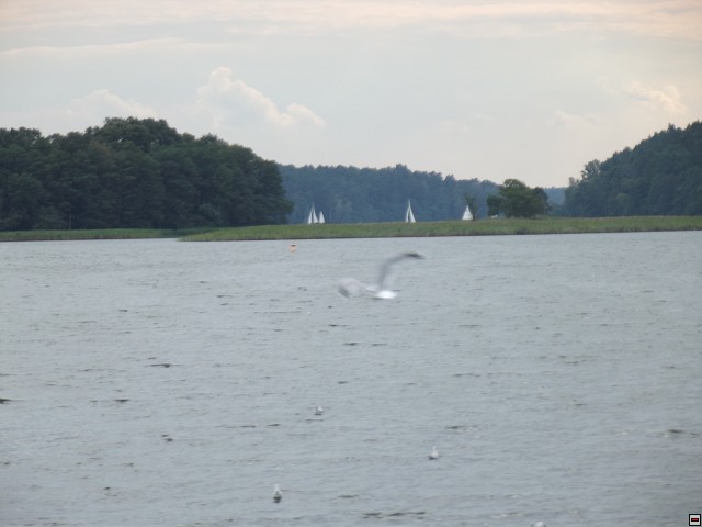 img00176.jpg