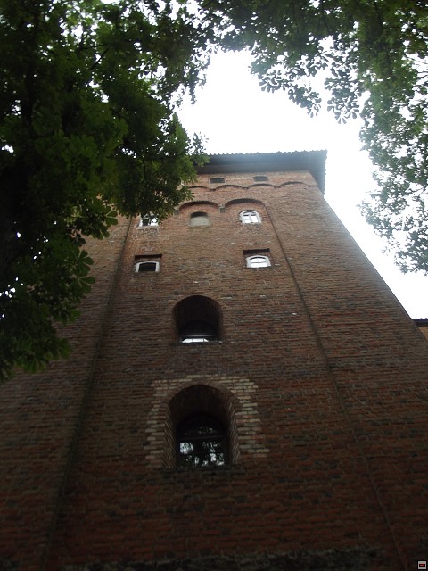 img00186.jpg