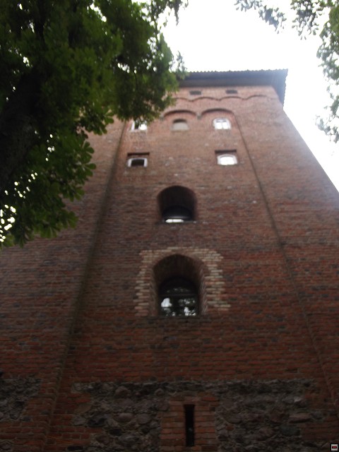 img00187.jpg