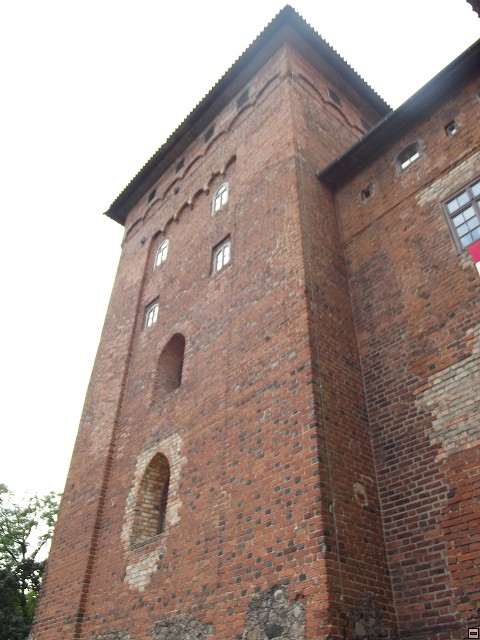img00188.jpg