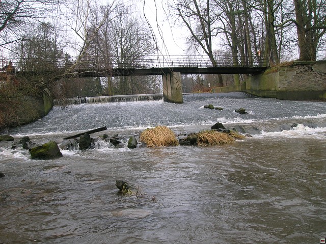 img00009.jpg