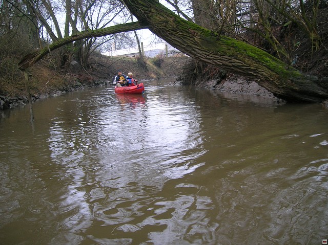 img00010.jpg