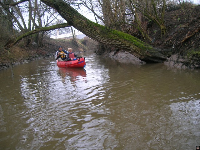 img00011.jpg
