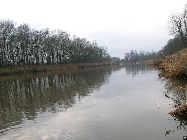 img00024.jpg