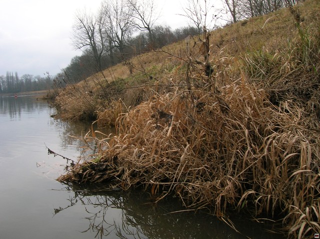 img00025.jpg